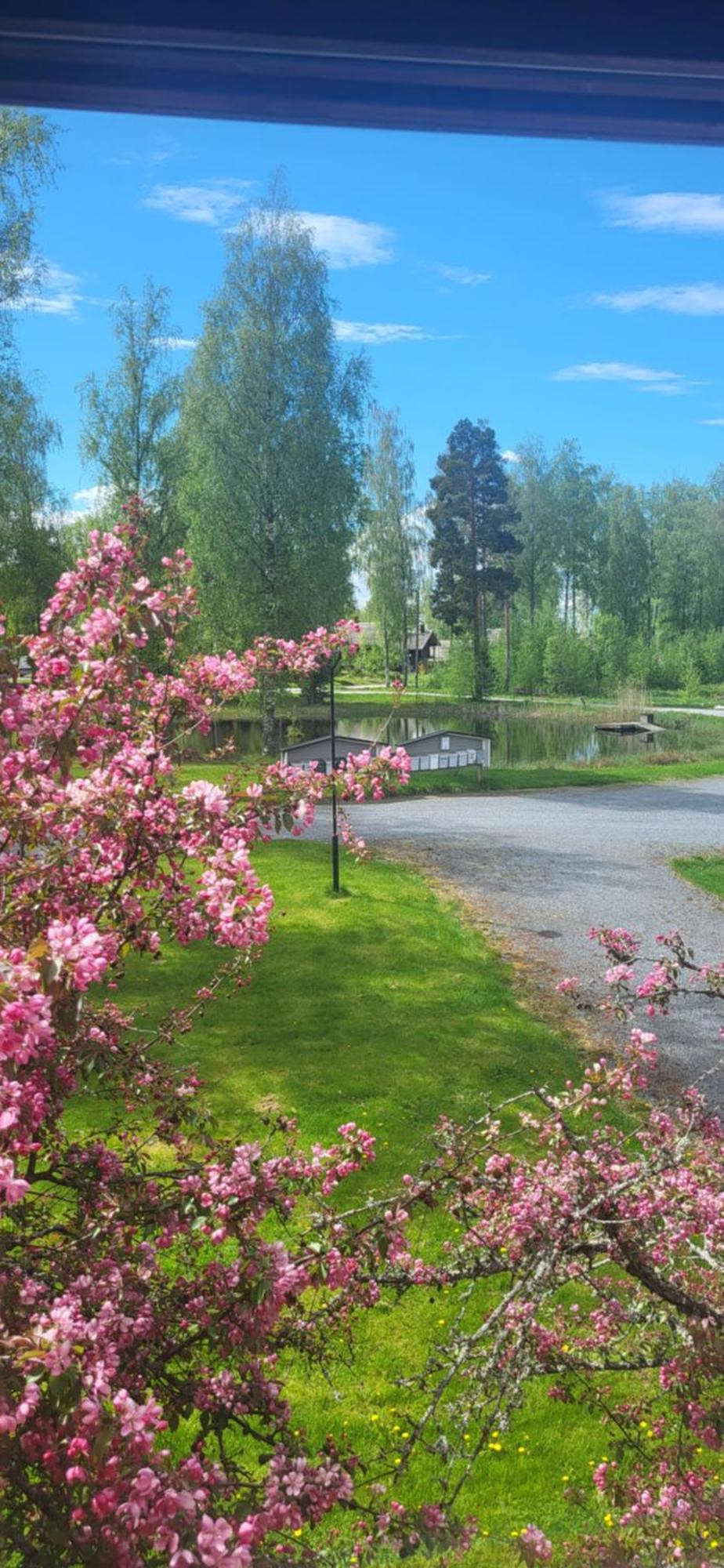 Lejlighed Ellivuori Paradise *